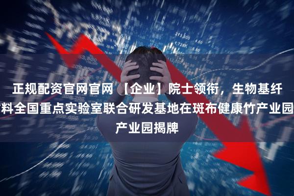 正规配资官网官网 【企业】院士领衔，生物基纤维材料全国重点实验室联合研发基地在斑布健康竹产业园揭牌